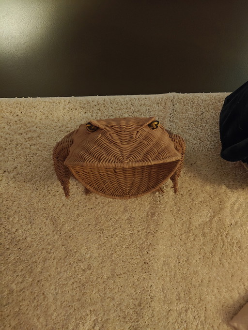 Oliver Cajan rieten guarda la pallacanestro