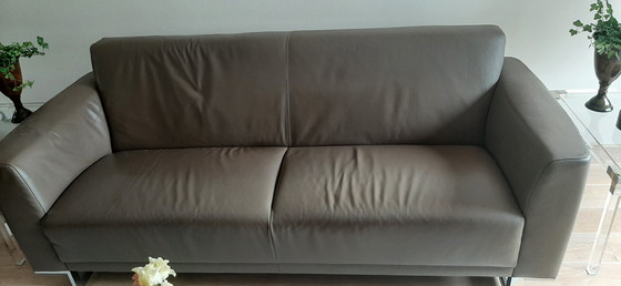 Image 1 of 2 divani Montel in pelle color tortora da 2,5 posti