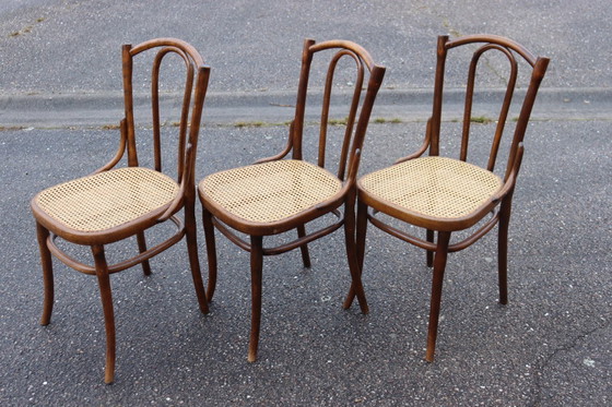 Image 1 of Sedie da bistrot serie x6 n. 56 di Thonet
