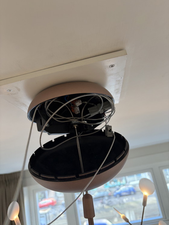 Image 1 of Moooi Heracleum II Petit Cuivre