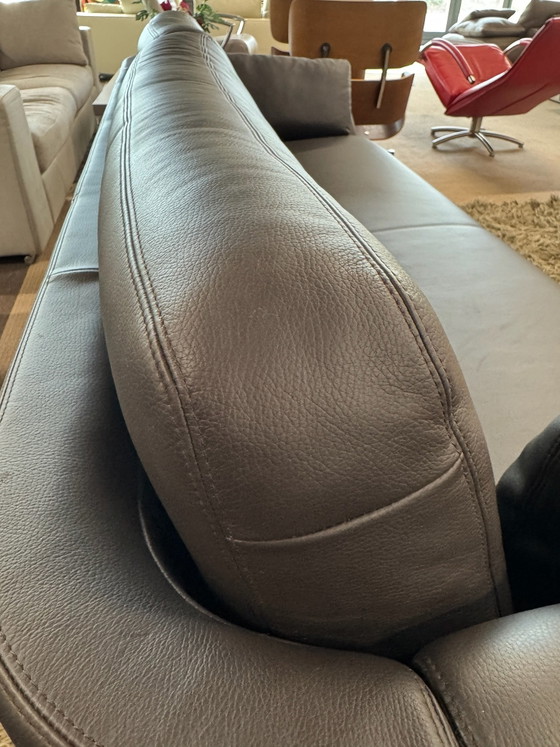 Intertime Nimbus – 3-5 seaters, Leather (photo 10 of 14)