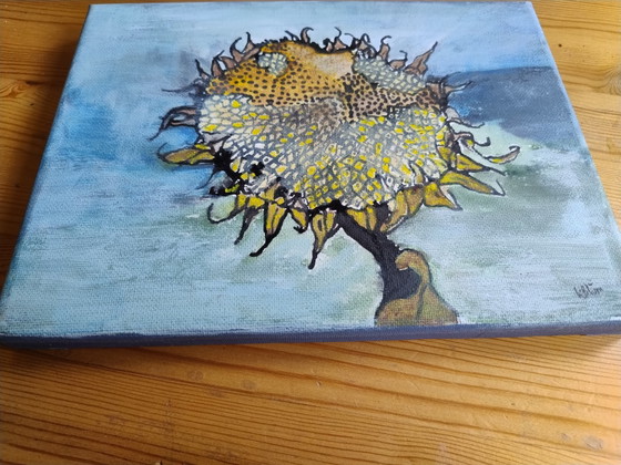 Image 1 of Tournesol