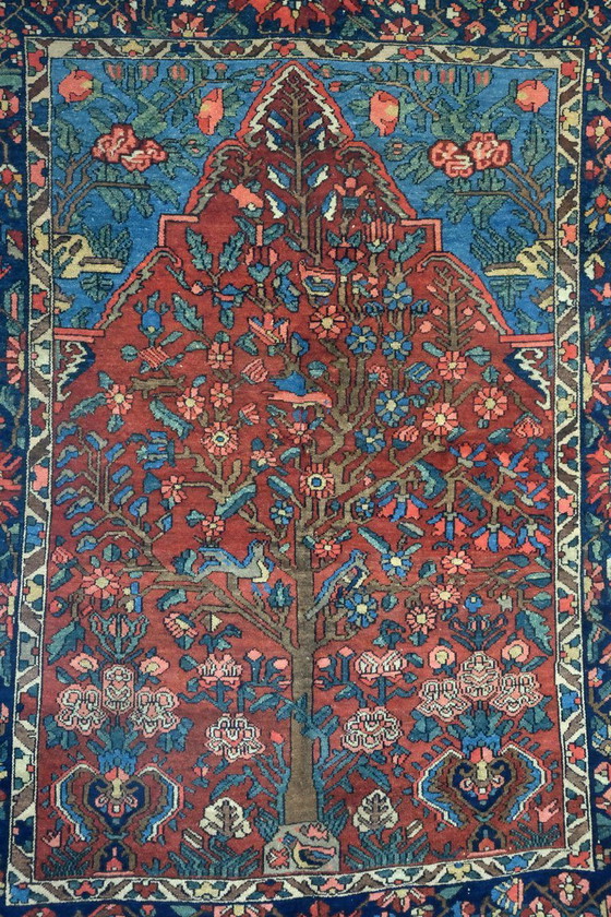 Image 1 of Alfombra de oración, nómadas bachtiar, 80 años.