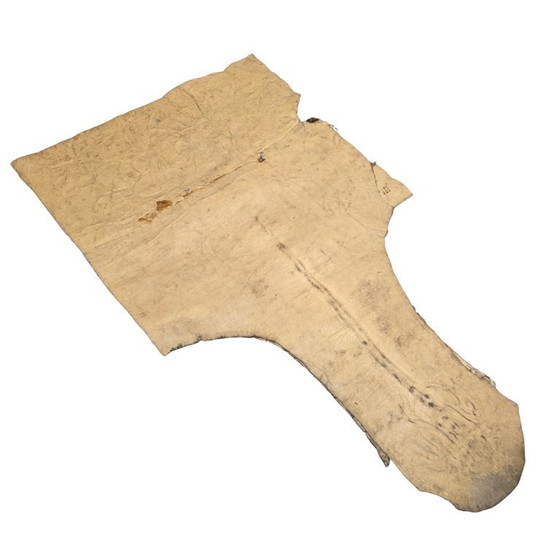 Image 1 of Morceau de vieille peau de zèbre collé sur du cuir, milieu du XXe siècle