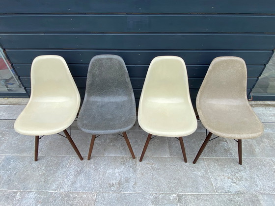 Image 1 of Set of 4 Eames Herman Miller Vintage DSW Fiber Walnut Chairs