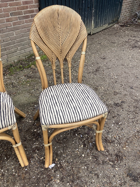 Image 1 of 4 Sedie “foglia di palma” Vivai del Sud. 