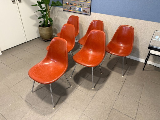 Image 1 of Herman Miller | Charles & Ray Eames | DSX | Terracotta Fiberglass – Chrome steel base | 6x