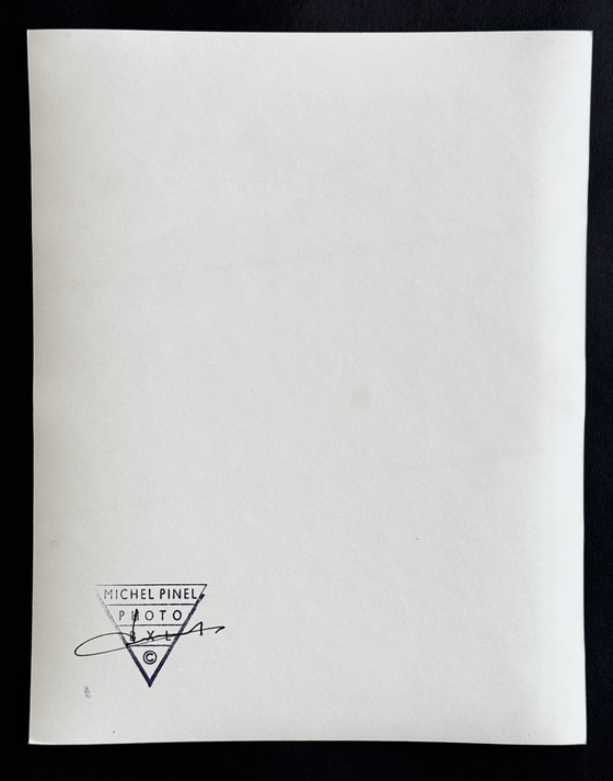 Image 1 of Michel Pinel - zeldzame foto van de schilder Corneille - 2006