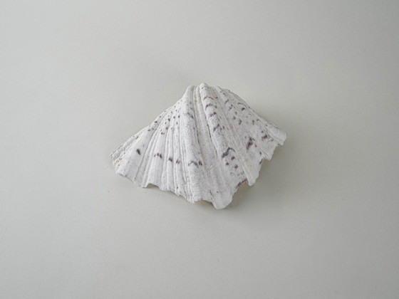 Image 1 of Concha decorativa Tritón, estilo bohemio, años 80