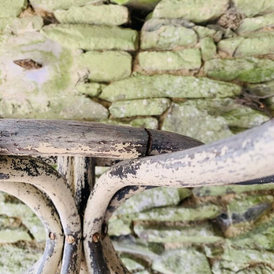 Image 1 of Perchero medio loro de madera curvada - Thonet - Modelo n°1