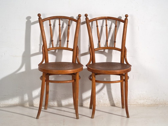 Antique set of 2 bentwood chairs – Central Europe, circa 1900 – Dining chairs, Metal (photo 21 of 40)