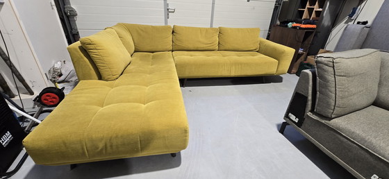 Image 1 of Passe partout bigfood jaune ocre