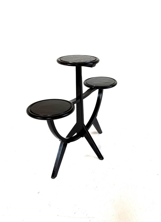 Image 1 of Vintage plantentafel ‘50