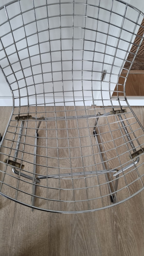 Image 1 of Sedie Bertoia d'epoca