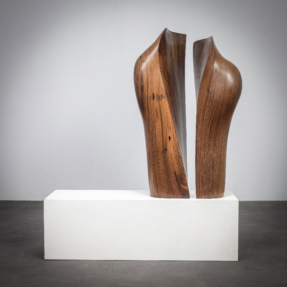 Image 1 of Esculturas de madera orgánica respirando de Ineke van Zuuren, años 70