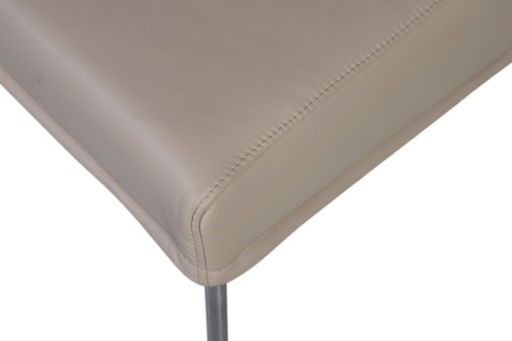 Image 1 of Bella Donna