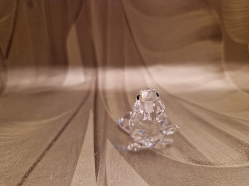 Castor Swarovski