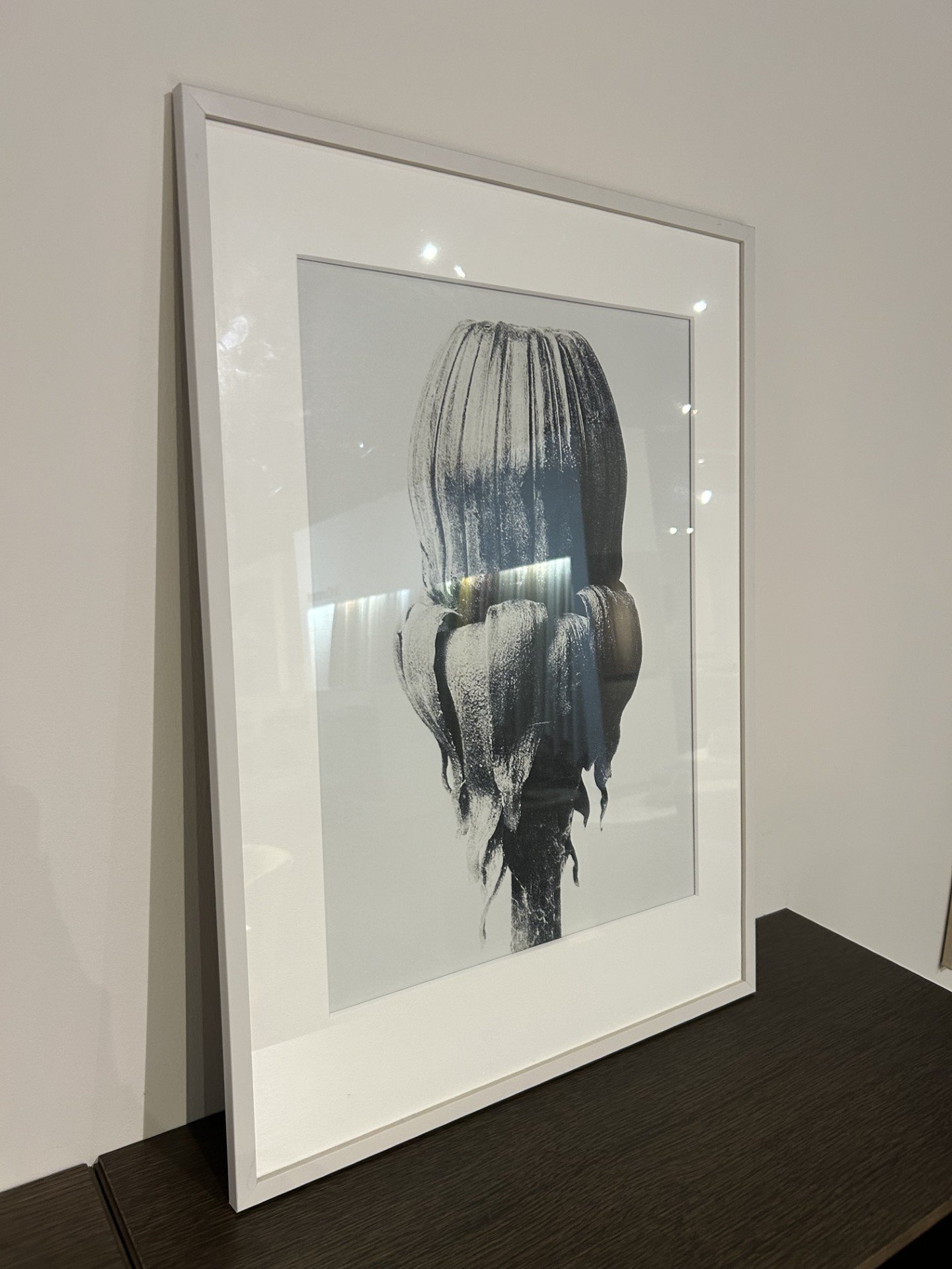 Boconcept - Common Dandelion Art Gallery | €79 | Whoppah