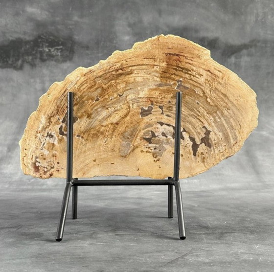 Image 1 of Madera fosilizada de Sooka, soporte hecho a medida (nuevo)