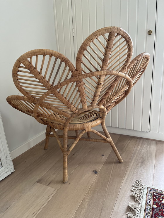 Image 1 of Sedia pavone in rattan