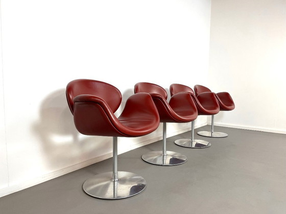 Image 1 of Four small tulip-shaped dining chairs in burgundy leather, designed by Pierre Paulin for Artifort in the 1990s.
