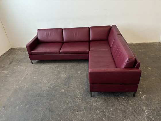 Image 1 of Brühl Alba designer sofa couch, leather, top condition!