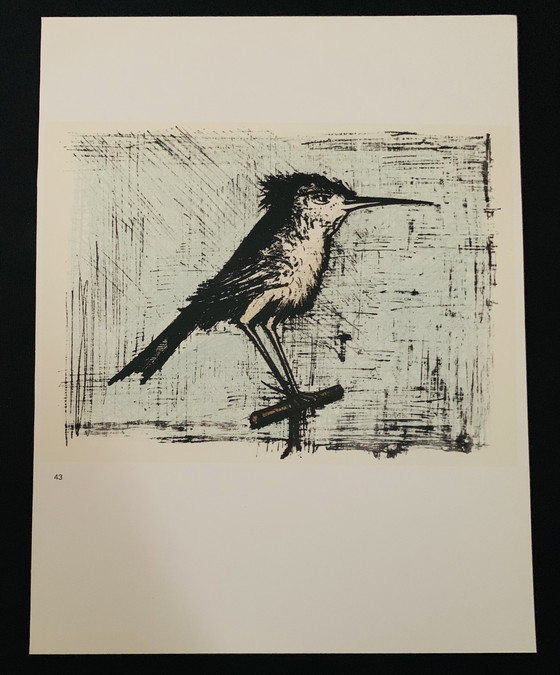 Image 1 of Bernard Buffet,“The Bird, 1967”. Gedrukt November 1967 Op De Persen Van Fernand Mourlot, Meesterlithograaf In Parijs. In Uitstek