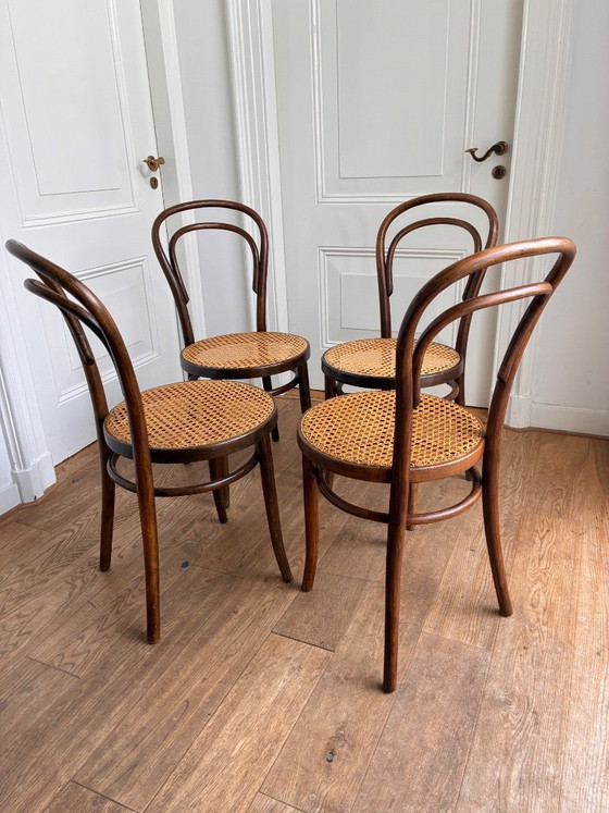 4x Thonet no 14 style chairs with excellent webbing seat, ZPM Radomsko, Dining chairs, Rattan, Wood, Beige (photo 8 of 10)