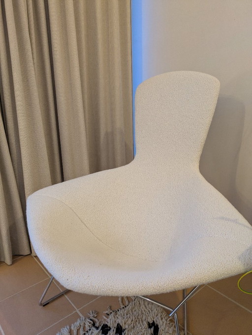 Fauteuil lounge Knoll Bertoia