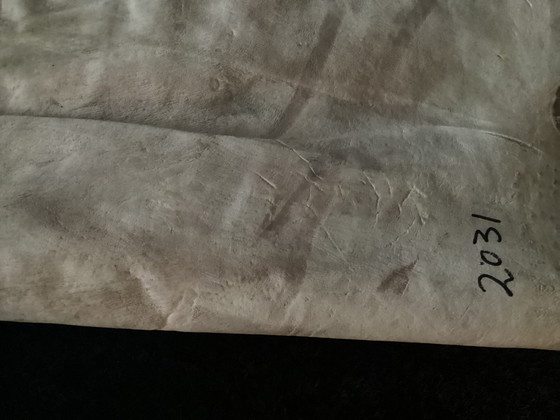 Image 1 of TAXIDERMIE BURCHELL ZEBRA CLOTH ZEBRAVEL ZEBRA SKIN