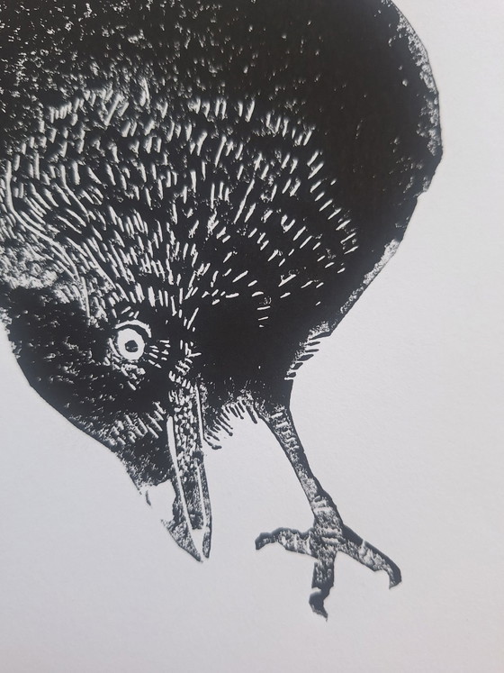 Linocut bird / 'Kauwtje' – M. Jasperse, Art, Paper (photo 3 of 7)