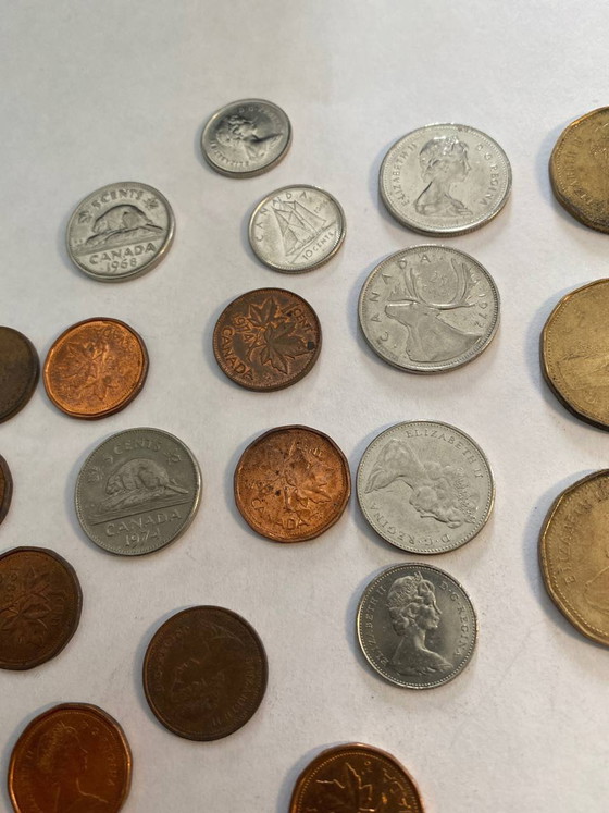 Lot of old coins Canada and Solomon Islands – 20th century – Decorative Objects (photo 3 of 5)