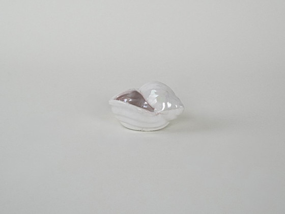 Image 1 of Porcelain seashell, Italian design, 1970s, production: Italy