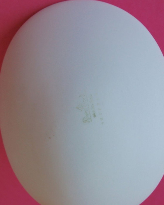 Image 1 of Vaso 'Pollo', Tapio Wirkkala per Studio Line Rosenthal