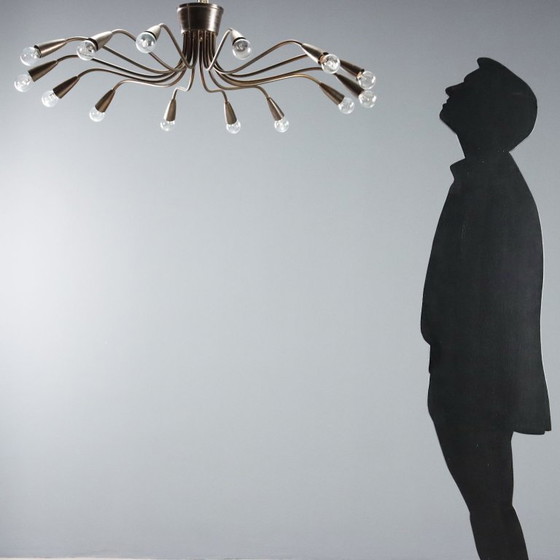 Image 1 of Lampadario a 14 luci anni 50