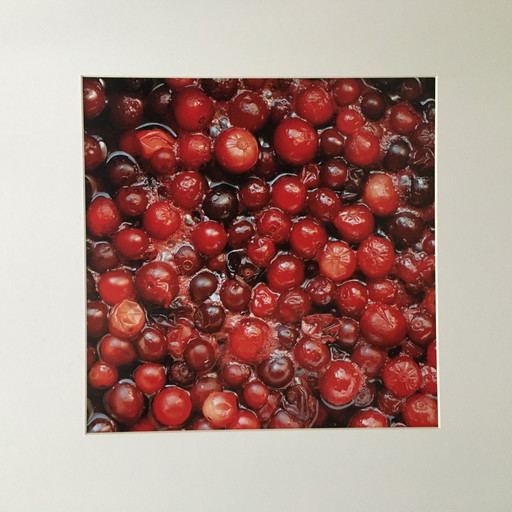 Bart Nieuwenhuijs - Cranberries