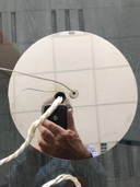 Bourgeons de Foscarini