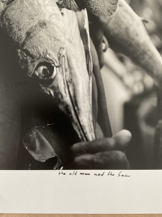 Foto Nico Koster, Originele Afdruk. – Fotografie, Paper (photo 6 of 6)