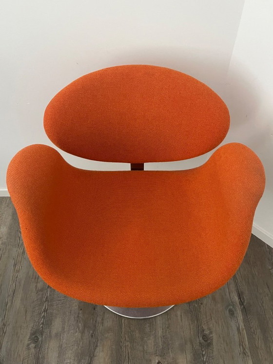 Image 1 of Artifort Little Tulip F163 Swivel Armchair
