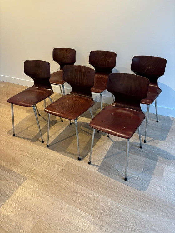 Image 1 of 6x Eromes Obo Chairs , Wijchen