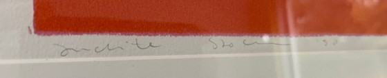 Image 1 of Farbenfroher Schablonendruck von Judith Stolker – 12/50