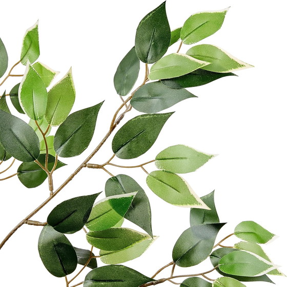 Image 1 of Artificial ficus with plastic pot, 160 cm, Green