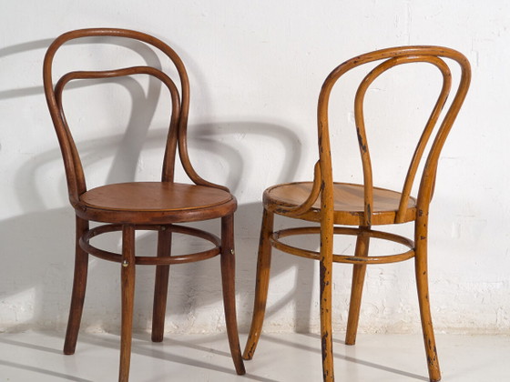 Sedie Thonet antiche (anni '20). Set di 2 pezzi #6 – Sedie da pranzo (photo 2 of 40)