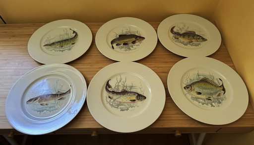 6 bayerische Porzellan-Fischteller von Winterling Röslau