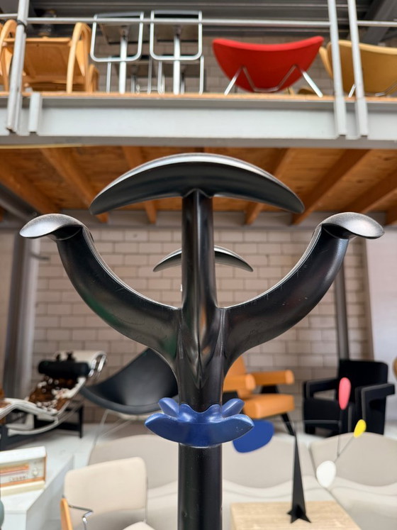 Image 1 of Rexite Cactus Coat Rack by Raul Barbieri (Stock: 3)
