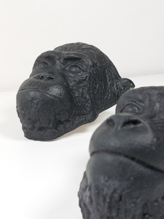 Image 1 of Coppia di rare maschere mortuarie in gesso, scimpanzé, mandrillo, gabinetto delle curiosità