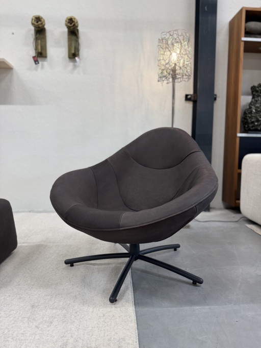 Label van den Berg Hidde Dark Brown