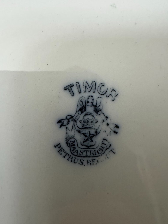Image 1 of Super schöner Petrus Regout "Timor" Teller