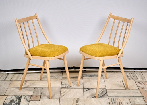 Set of two Vintage Chairs, designed by A. Suman in Czechoslovakia, 1960s