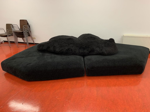 Sofa Edra Eisbär